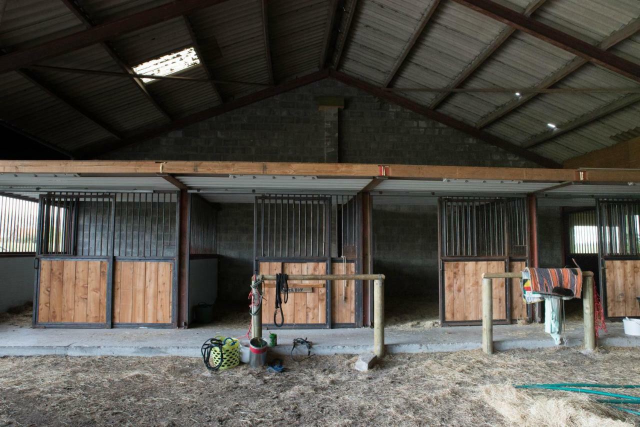 Вілла Boeren Biezen Bed Landelijk Екстер'єр фото