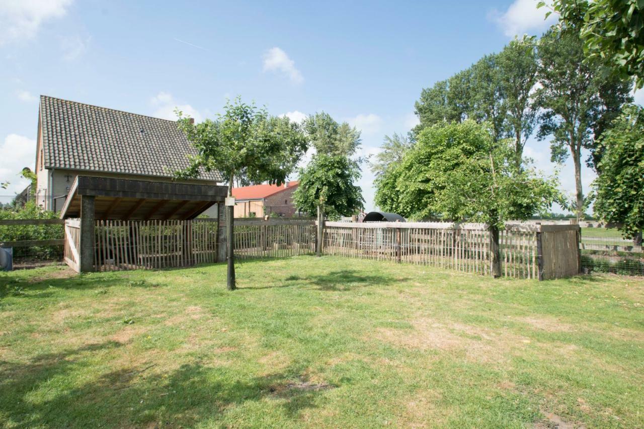 Вілла Boeren Biezen Bed Landelijk Екстер'єр фото