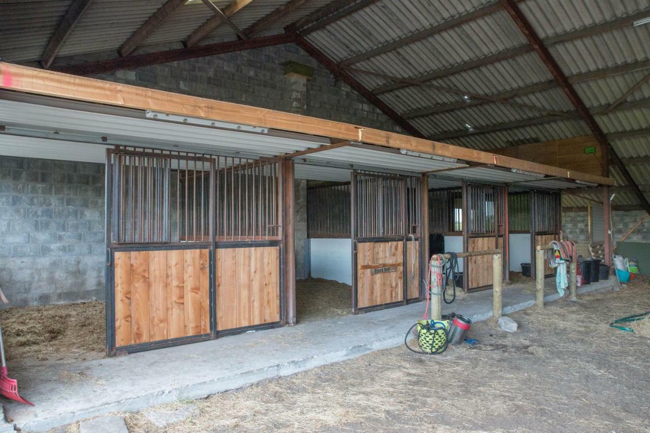 Вілла Boeren Biezen Bed Landelijk Екстер'єр фото