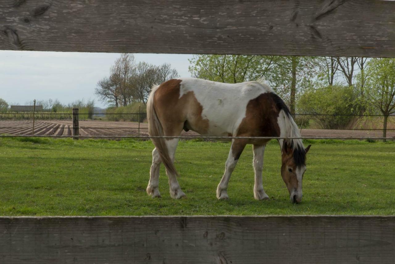 Вілла Boeren Biezen Bed Landelijk Екстер'єр фото