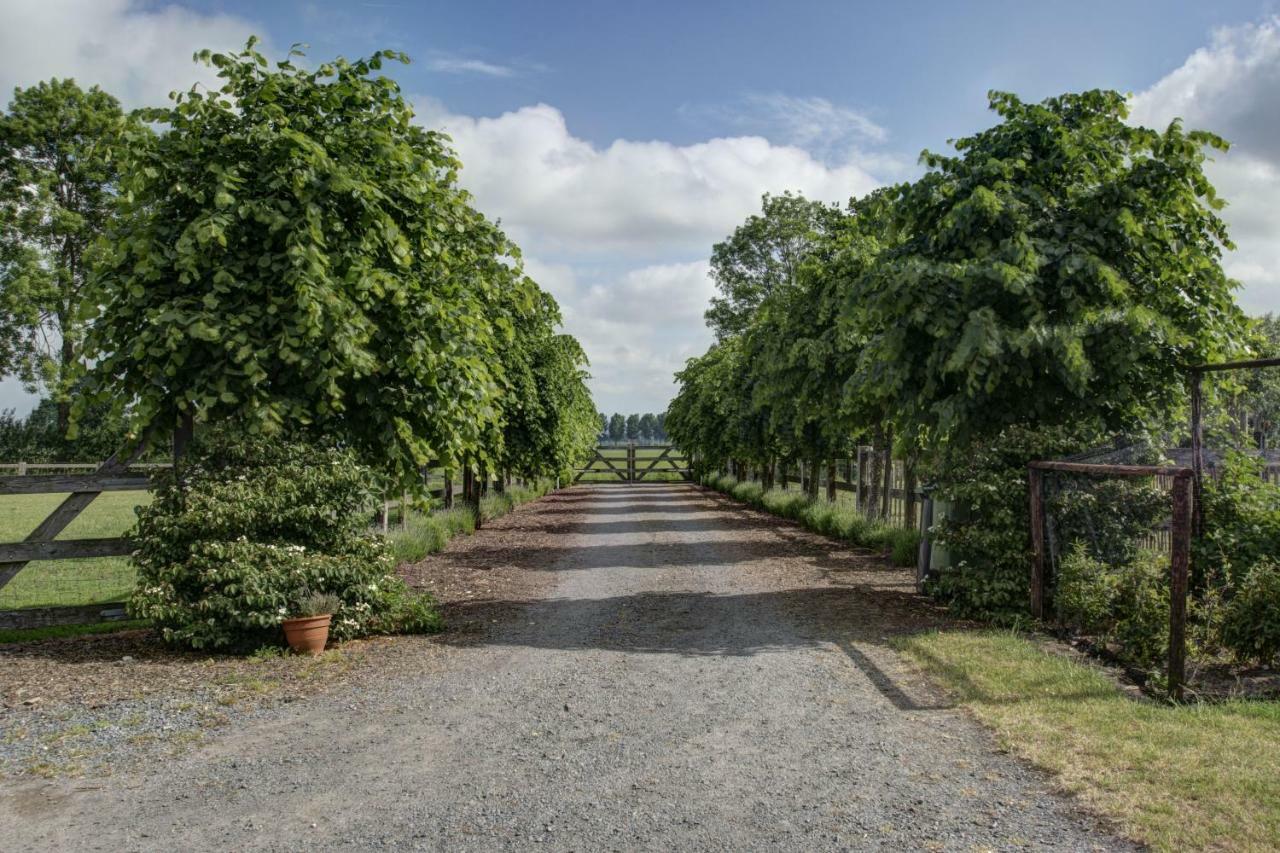 Вілла Boeren Biezen Bed Landelijk Екстер'єр фото